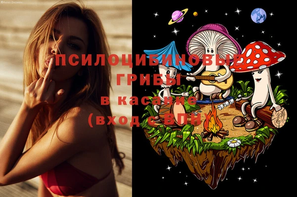 дживик Баксан