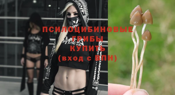 дживик Баксан