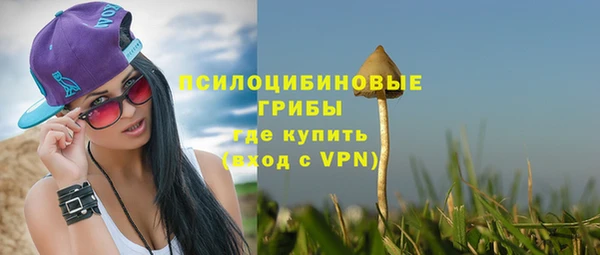 Альфа ПВП Балабаново