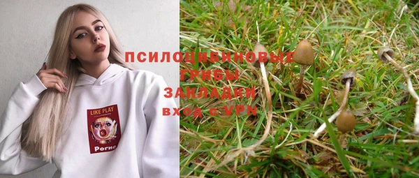 дживик Баксан