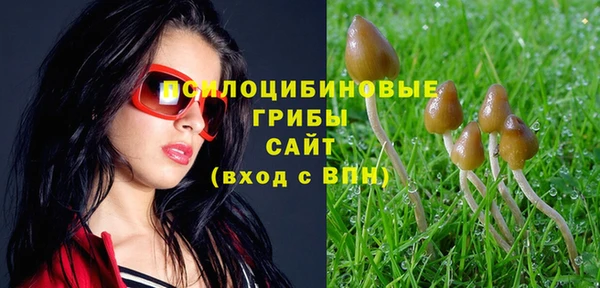 дживик Баксан