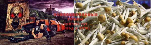 Альфа ПВП Балабаново