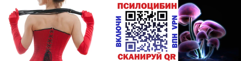 KRAKEN tor  где продают   Иркутск  Галлюциногенные грибы мицелий 