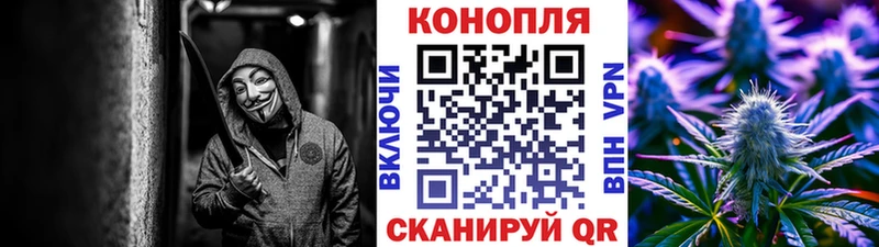 Бошки марихуана OG Kush  наркошоп  Иркутск 